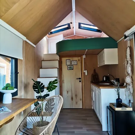 Albizia Boutique מלון *