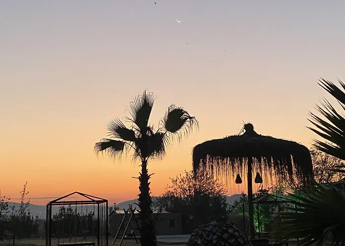 Albizia Boutique Szálloda