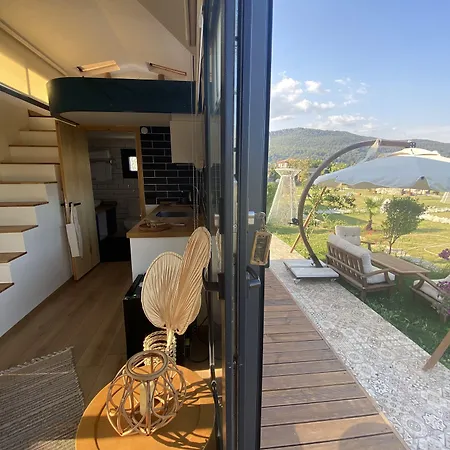 Hotel Albizia Boutique