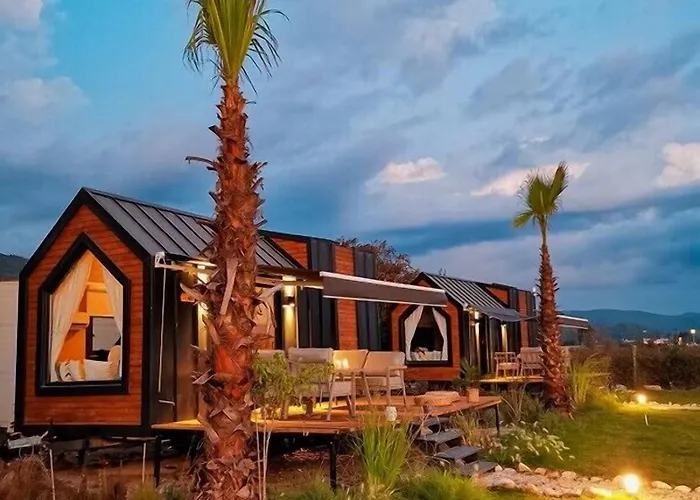 Hotel Albizia Boutique *